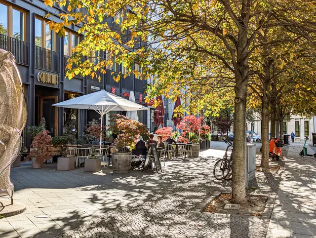 Café-Terrasse unter herbstlichen Bäumen in der Nähe